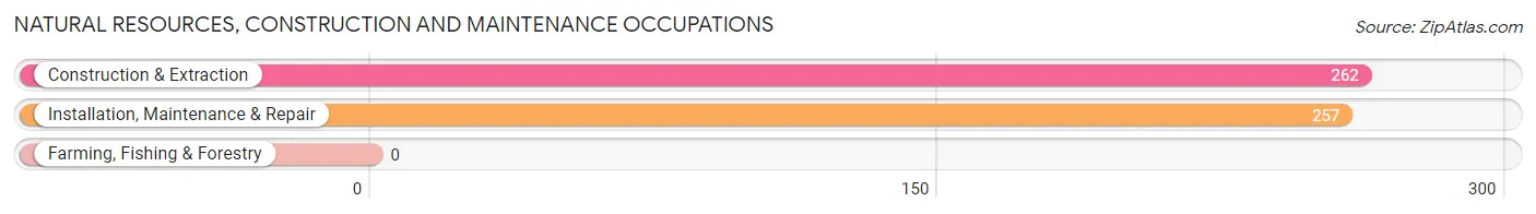 Natural Resources, Construction and Maintenance Occupations in Hope Mills