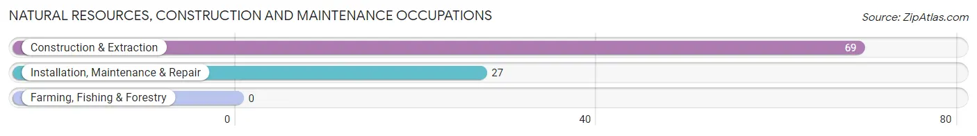 Natural Resources, Construction and Maintenance Occupations in Wilkesboro