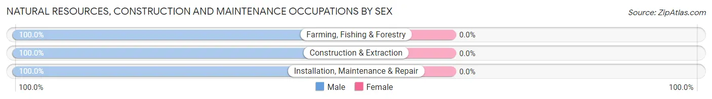 Natural Resources, Construction and Maintenance Occupations by Sex in Hazen