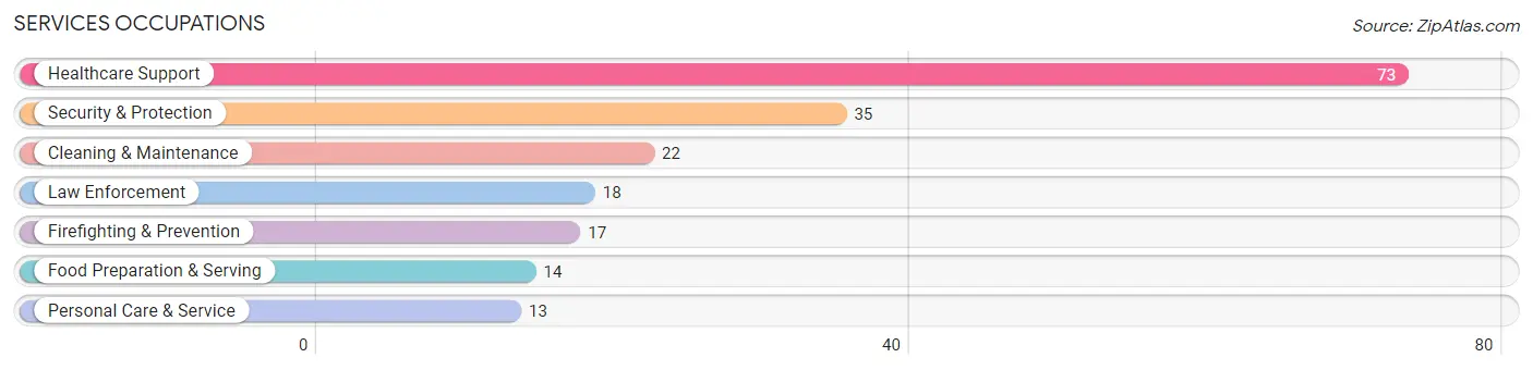 Services Occupations in Hazen