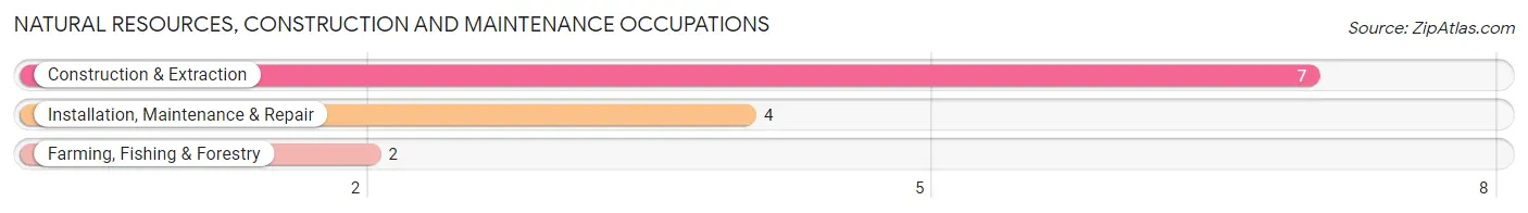 Natural Resources, Construction and Maintenance Occupations in Avoca