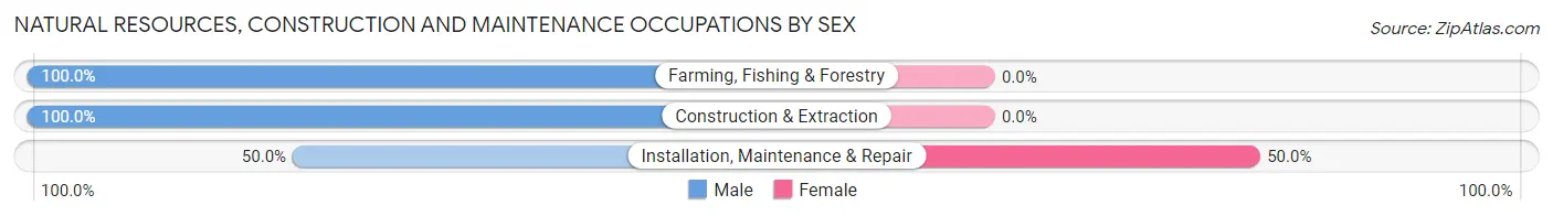 Natural Resources, Construction and Maintenance Occupations by Sex in Cody