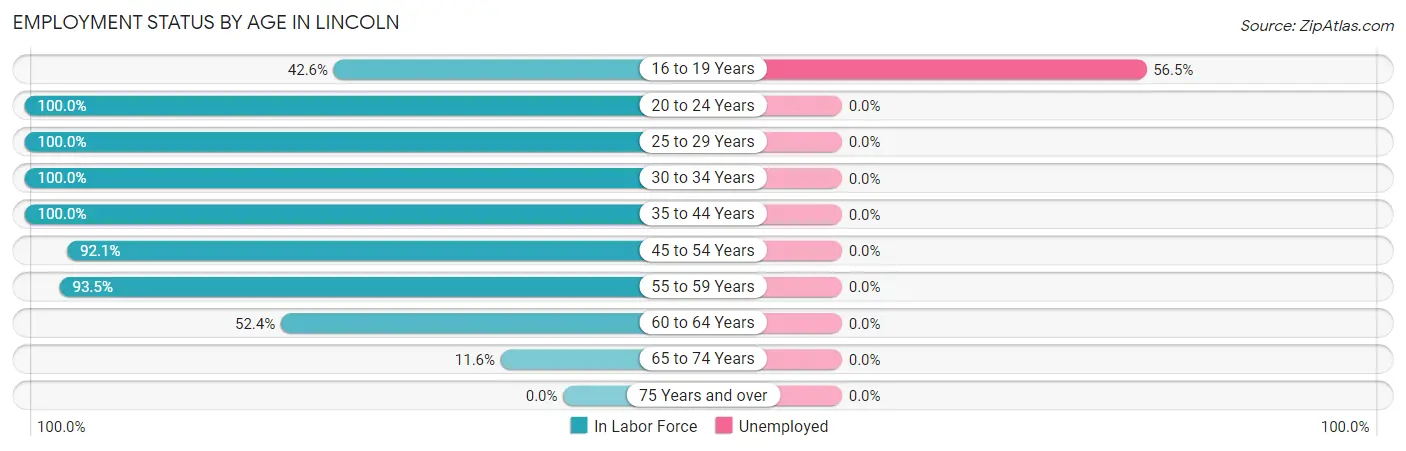 Employment Status by Age in Lincoln