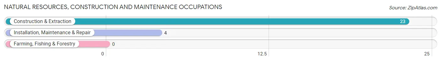 Natural Resources, Construction and Maintenance Occupations in Lincoln