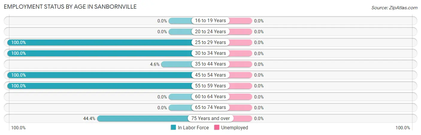 Employment Status by Age in Sanbornville