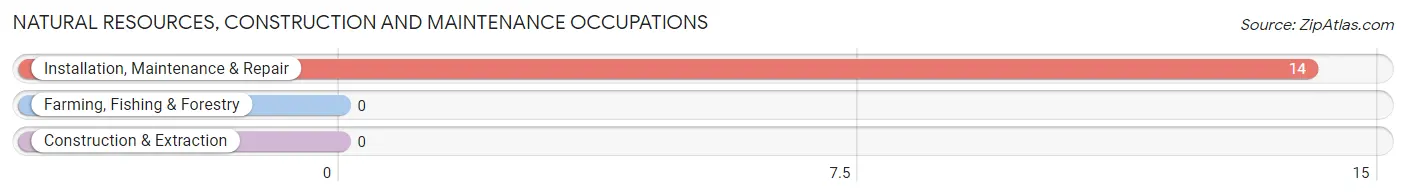 Natural Resources, Construction and Maintenance Occupations in Sanbornville