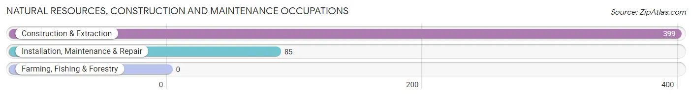 Natural Resources, Construction and Maintenance Occupations in Pine Lake Park