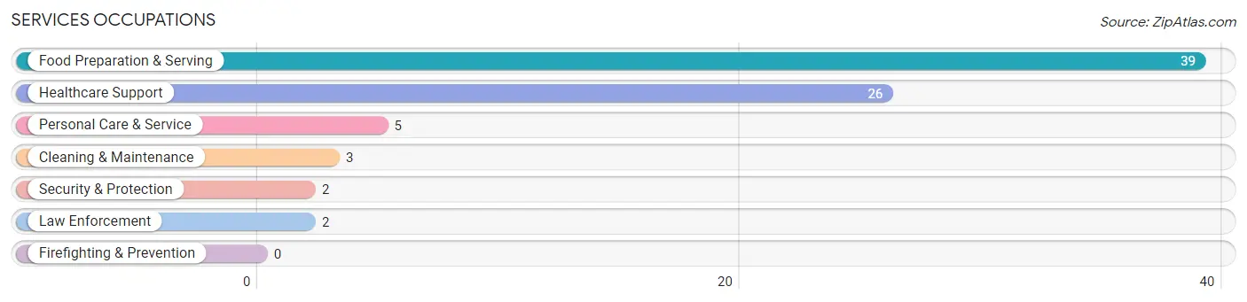 Services Occupations in Fonda