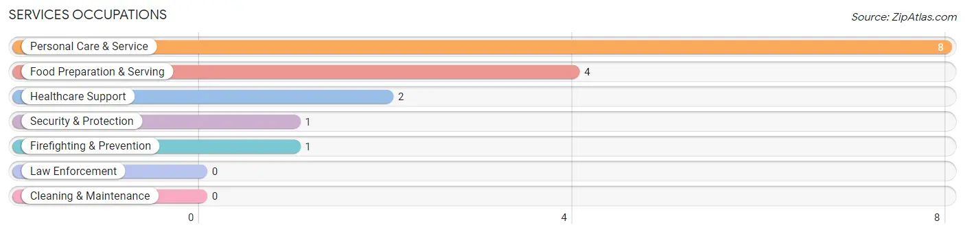 Services Occupations in Grand View on Hudson