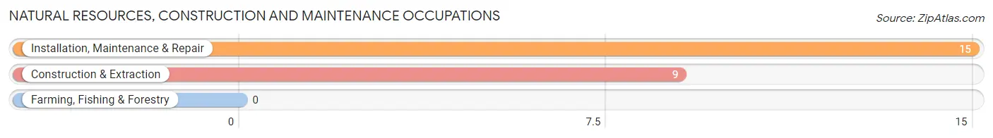 Natural Resources, Construction and Maintenance Occupations in Greenville CDP Greene County