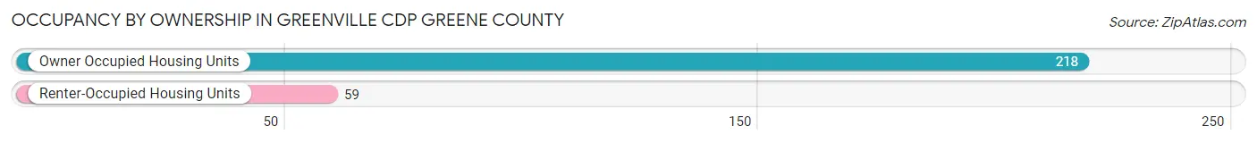 Occupancy by Ownership in Greenville CDP Greene County
