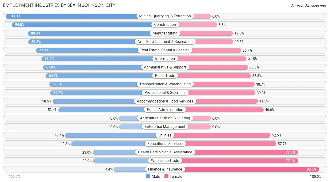 Employment Industries by Sex in Johnson City