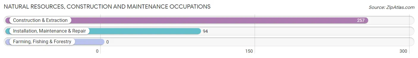 Natural Resources, Construction and Maintenance Occupations in Johnson City