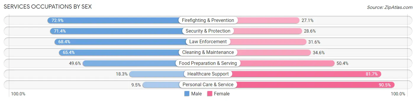 Services Occupations by Sex in Johnson City