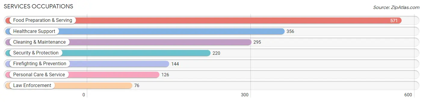 Services Occupations in Johnson City