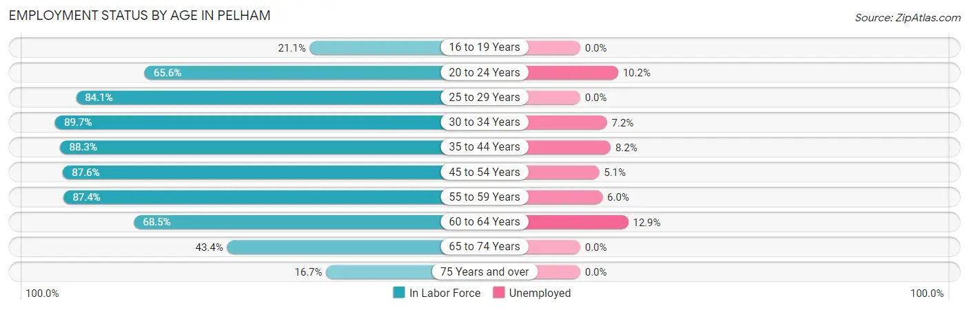 Employment Status by Age in Pelham