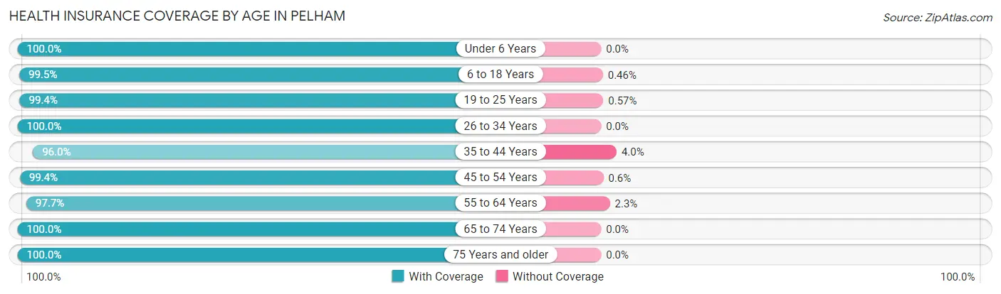 Health Insurance Coverage by Age in Pelham