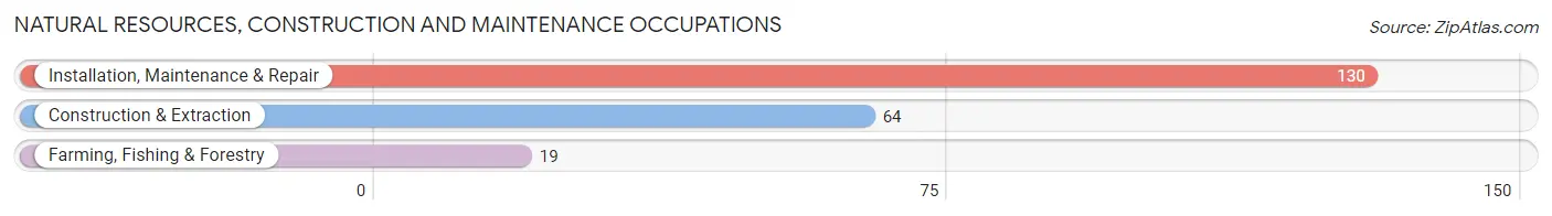 Natural Resources, Construction and Maintenance Occupations in Pelham