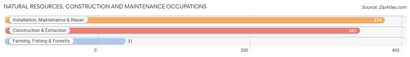 Natural Resources, Construction and Maintenance Occupations in North Myrtle Beach