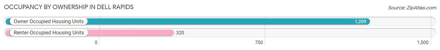Occupancy by Ownership in Dell Rapids
