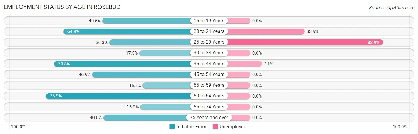 Employment Status by Age in Rosebud