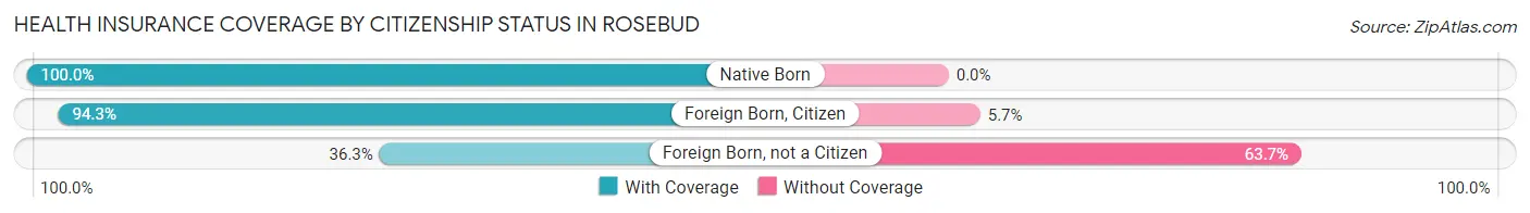 Health Insurance Coverage by Citizenship Status in Rosebud