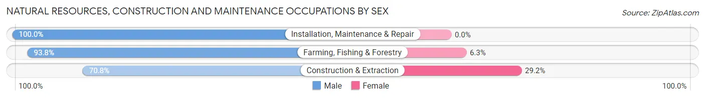 Natural Resources, Construction and Maintenance Occupations by Sex in Rosebud