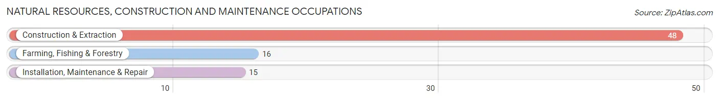 Natural Resources, Construction and Maintenance Occupations in Rosebud