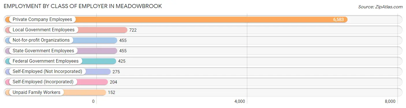 Employment by Class of Employer in Meadowbrook