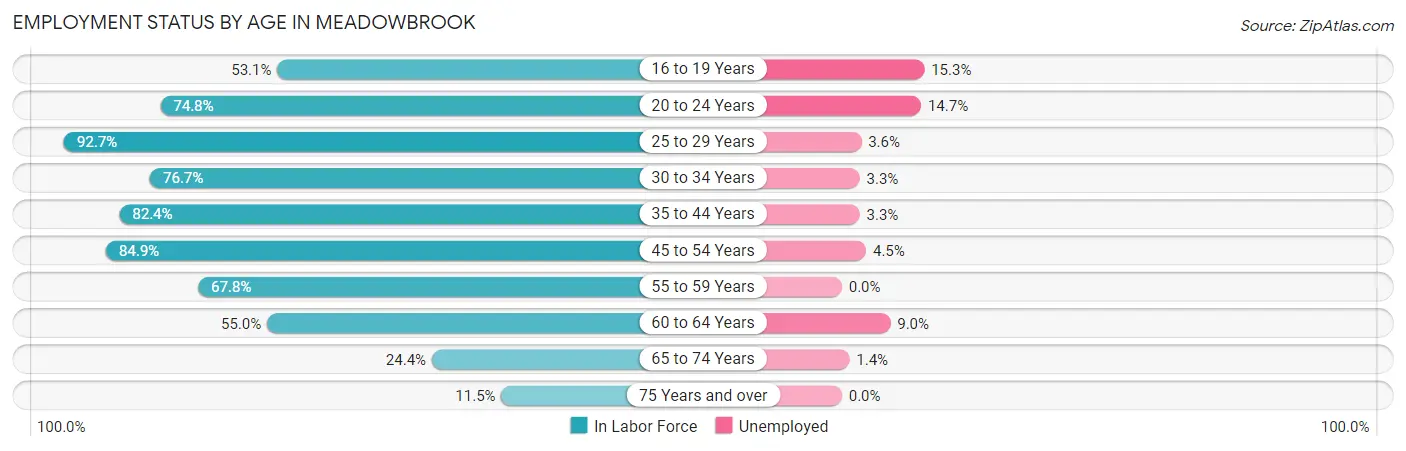 Employment Status by Age in Meadowbrook