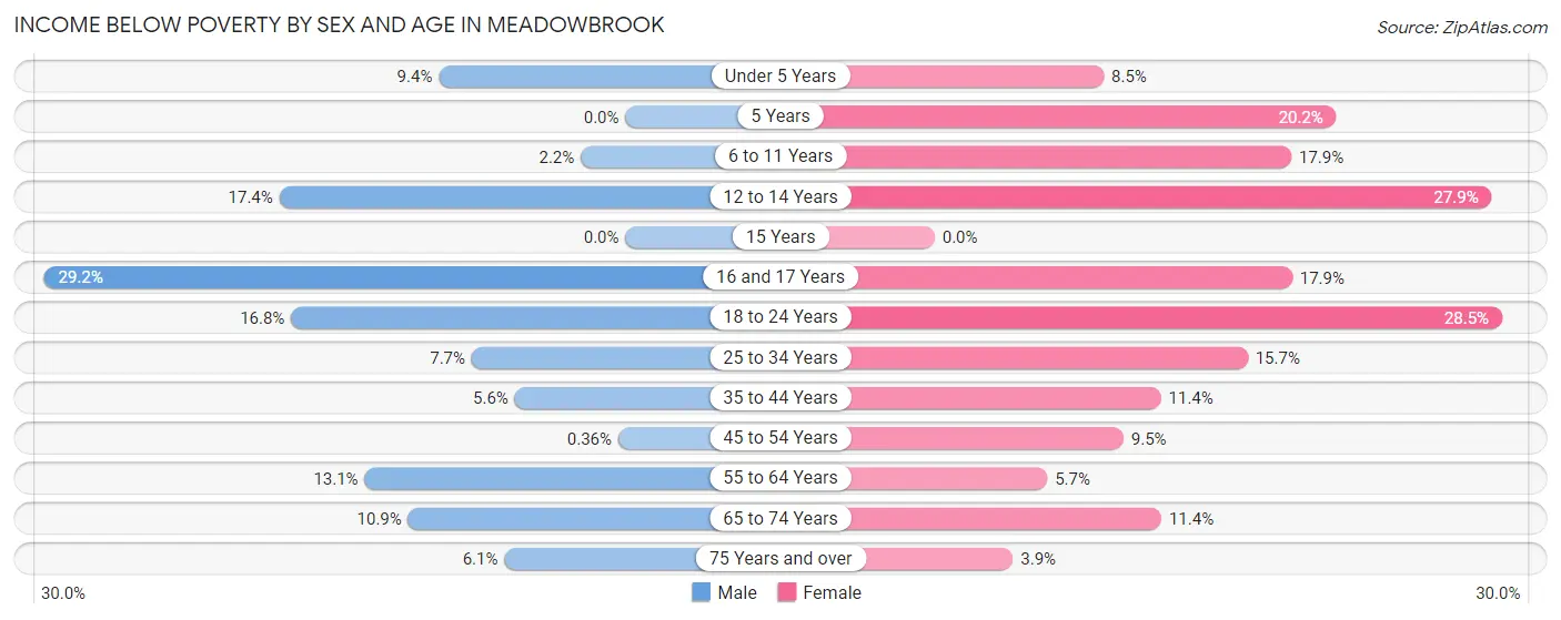 Income Below Poverty by Sex and Age in Meadowbrook