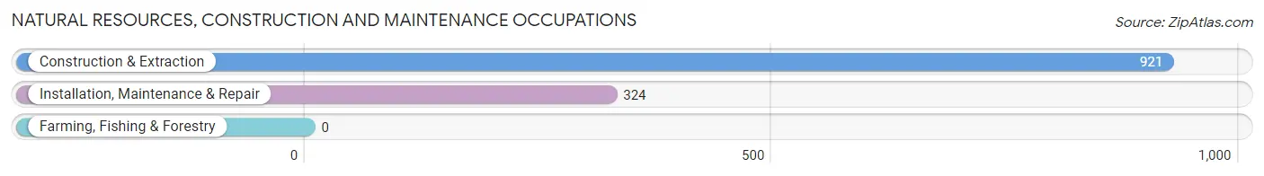 Natural Resources, Construction and Maintenance Occupations in Meadowbrook