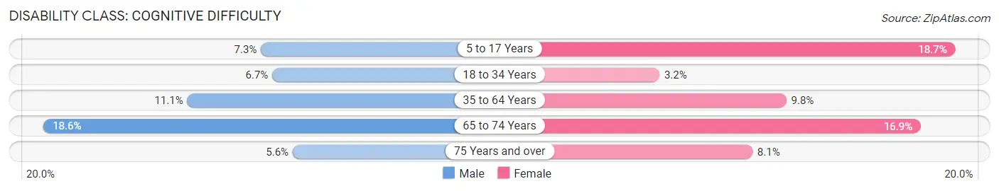 Disability in Clarkston: <span>Cognitive Difficulty</span>