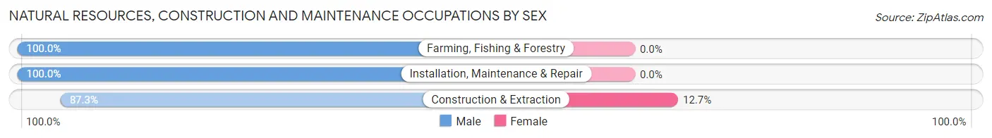 Natural Resources, Construction and Maintenance Occupations by Sex in Clarkston