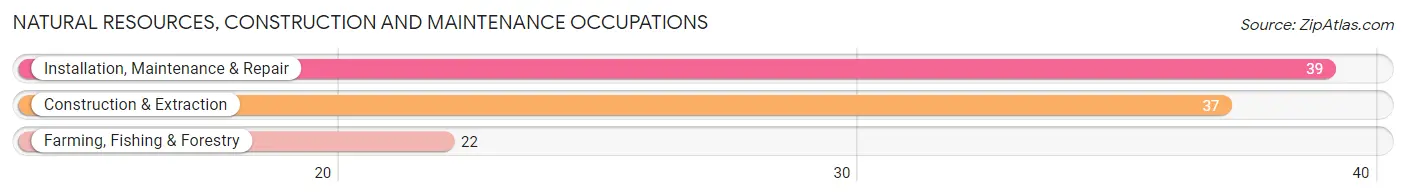 Natural Resources, Construction and Maintenance Occupations in Colby