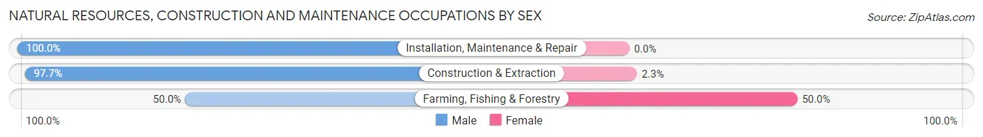 Natural Resources, Construction and Maintenance Occupations by Sex in Marshfield