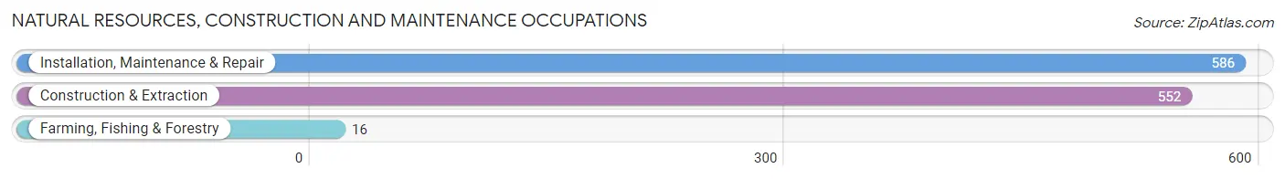 Natural Resources, Construction and Maintenance Occupations in Neenah