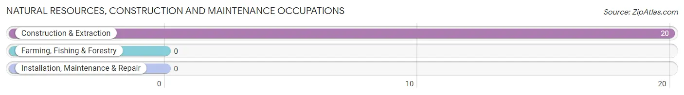 Natural Resources, Construction and Maintenance Occupations in Crooked Creek