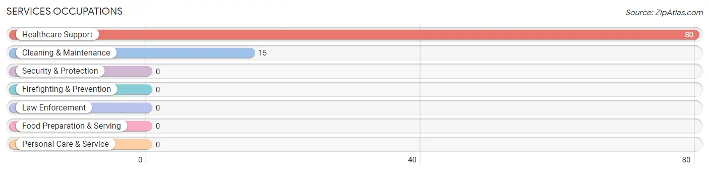 Services Occupations in Neibert