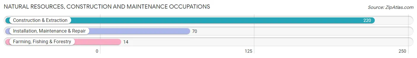 Natural Resources, Construction and Maintenance Occupations in Zip Code 01534