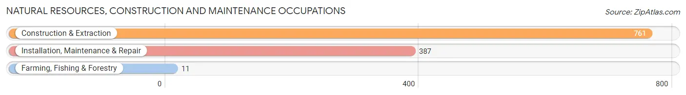 Natural Resources, Construction and Maintenance Occupations in Zip Code 01843