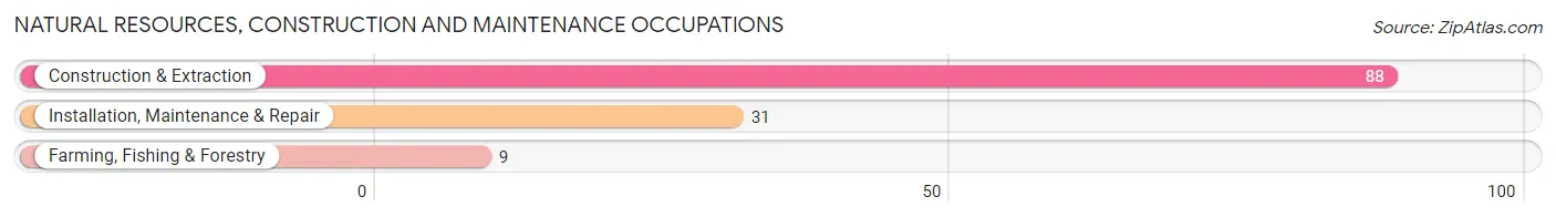 Natural Resources, Construction and Maintenance Occupations in Zip Code 01908