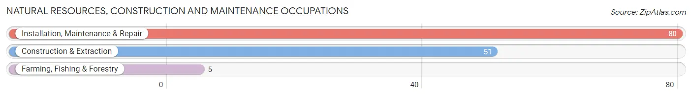 Natural Resources, Construction and Maintenance Occupations in Zip Code 02459