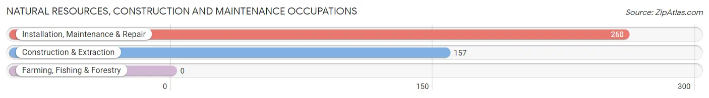 Natural Resources, Construction and Maintenance Occupations in Zip Code 02639