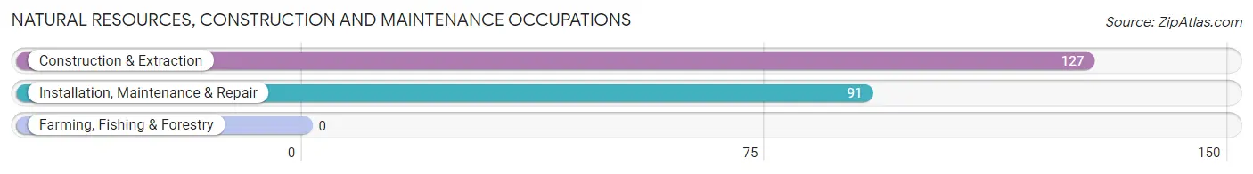 Natural Resources, Construction and Maintenance Occupations in Zip Code 04579