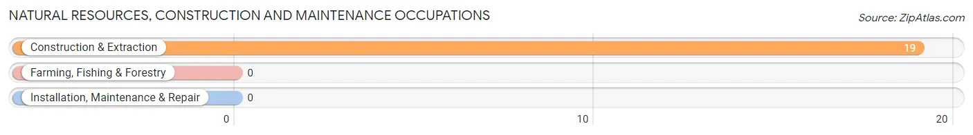 Natural Resources, Construction and Maintenance Occupations in Zip Code 04642