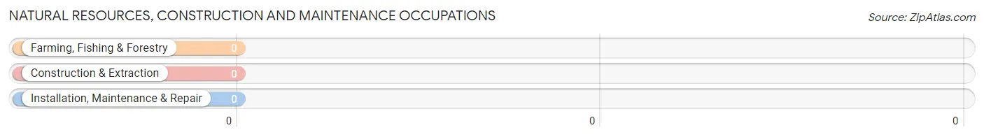 Natural Resources, Construction and Maintenance Occupations in Zip Code 04855