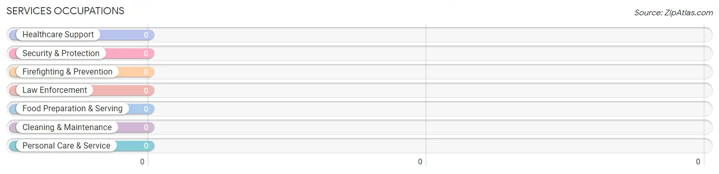 Services Occupations in Zip Code 04855