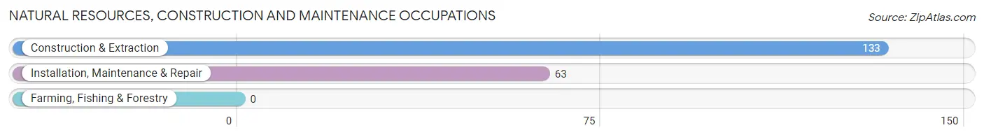 Natural Resources, Construction and Maintenance Occupations in Zip Code 07088