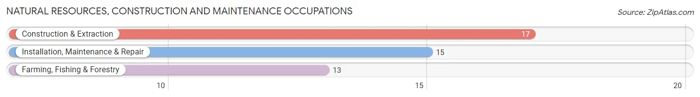 Natural Resources, Construction and Maintenance Occupations in Zip Code 07310